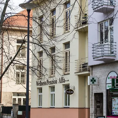 Alfa ゲストハウス Poděbrady