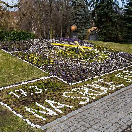 Alfa Poděbrady