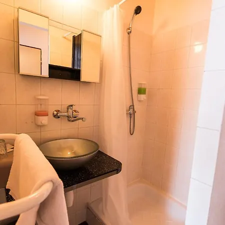 Guest house Alfa 3*