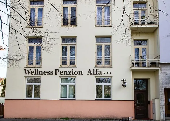 Alfa Penzion 3*
